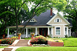 Restoration & Repairs / Paver Cleaning & Sealing
