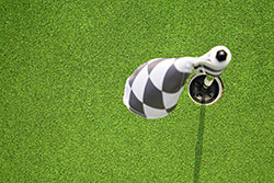 Synthetic Grass Lawns